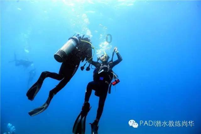 逃出猫头鹰岛